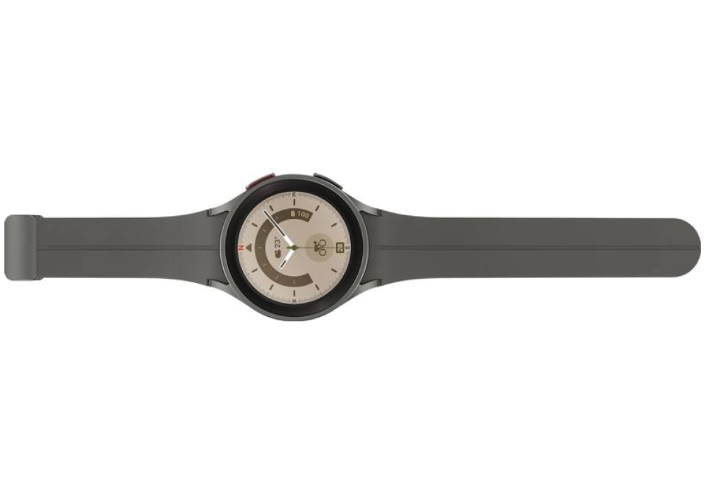 Samsung Galaxy Watch 5 Pro BT - 45 mm (Gris)