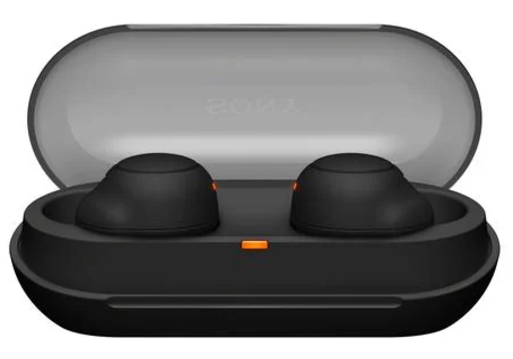 Sony Écouteurs True Wireless In-Ear WF-C500 Noir