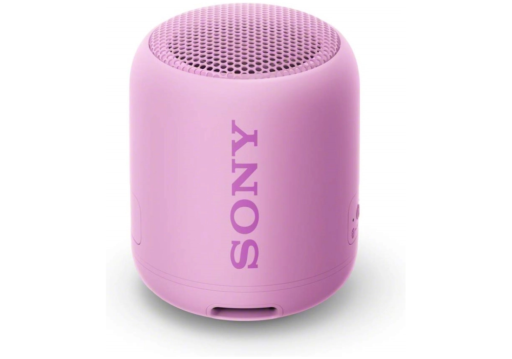 Sony Bluetooth Speaker SRS-XB12 (Violet)
