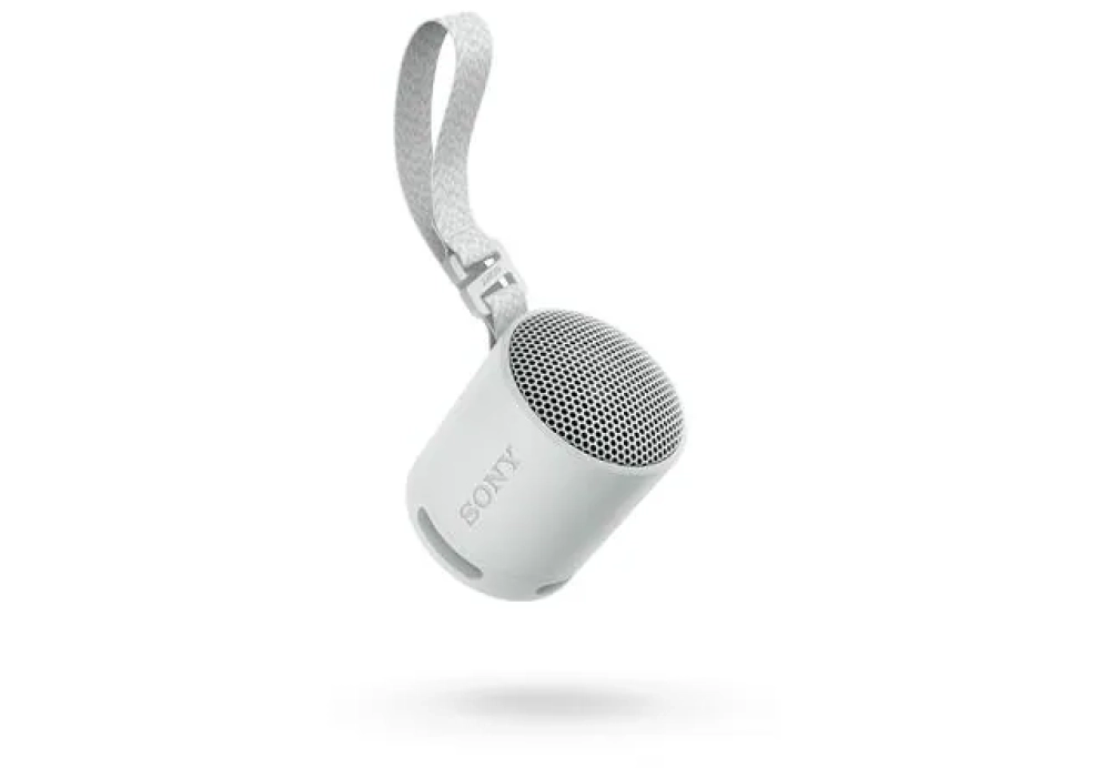 Sony Haut-parleur Bluetooth SRS-XB100 Gris