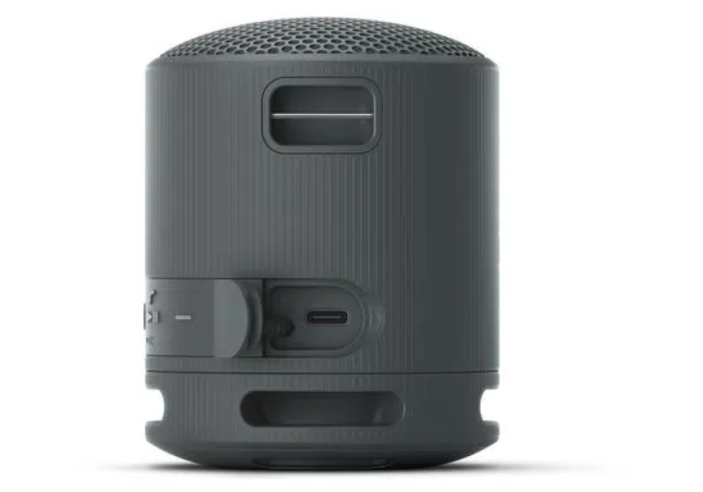 Sony Haut-parleur Bluetooth SRS-XB100 Noir