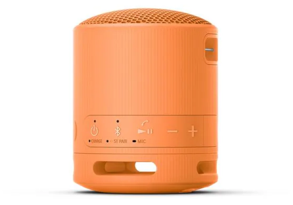 Sony Haut-parleur Bluetooth SRS-XB100 Orange