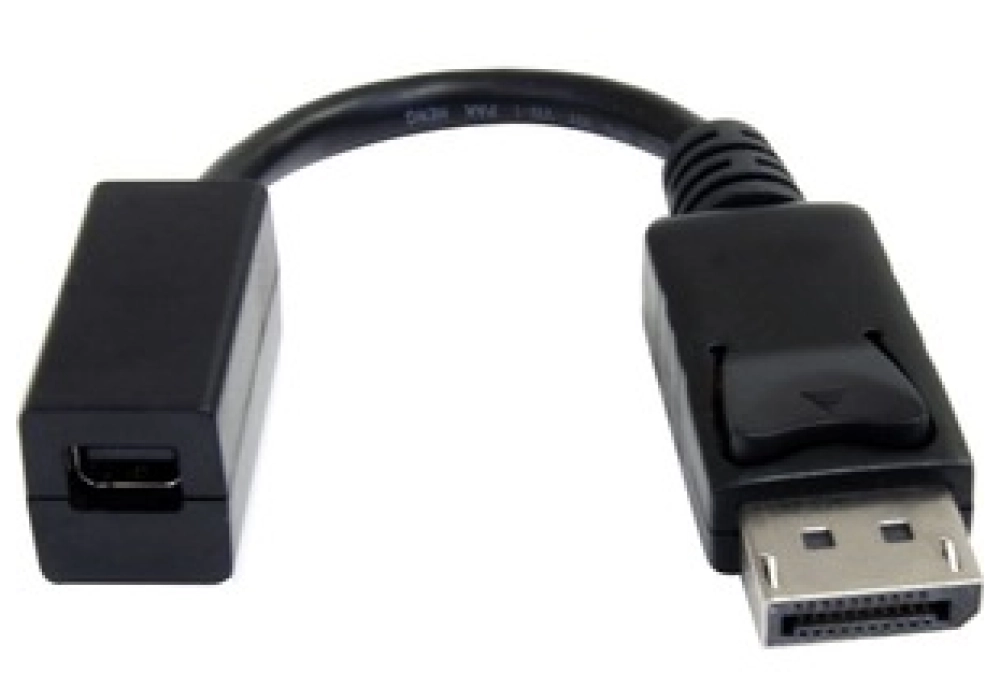 StarTech Adapter DisplayPort (M) > Mini DisplayPort (F)