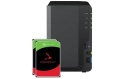 Synology DiskStation DS223 - Seagate Ironwolf 4 TB