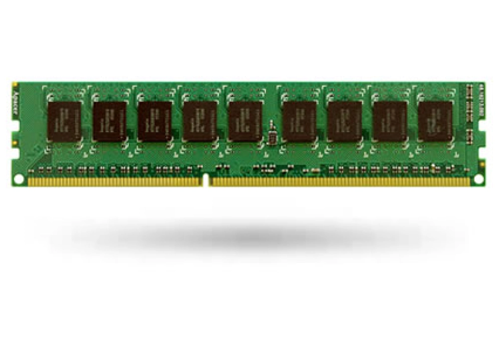 Synology RAM Extension 4GB (2GB X 2) Kit DDR3-1600 ECC (RAMEC1600DDR3-2GBX2)