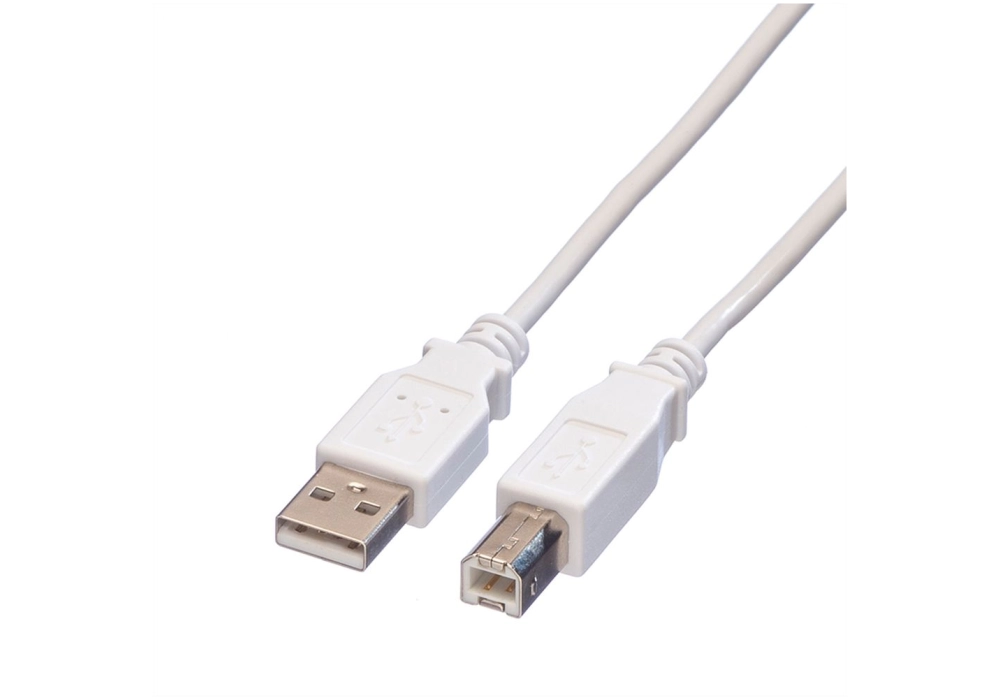 Value USB 2.0 A/B Cable - 1.80 m (pour imprimante)