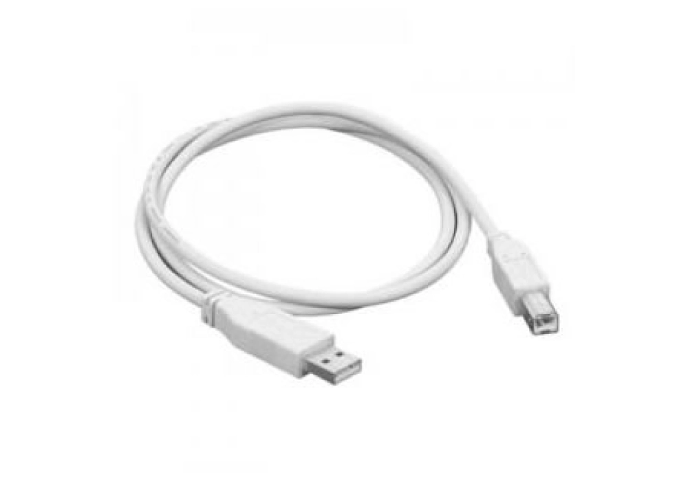 Value USB 2.0 A/B Cable - 4.50 m (pour imprimante)