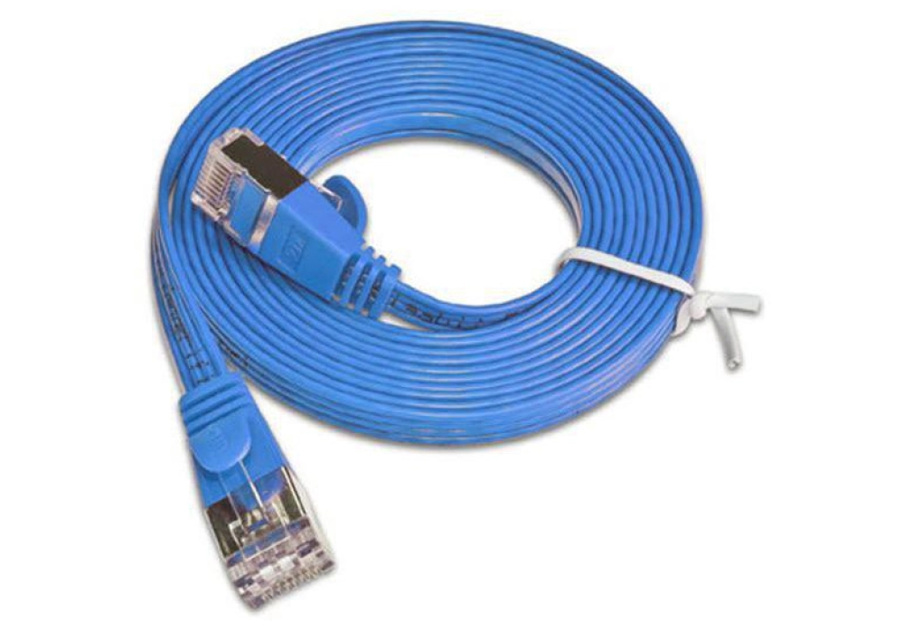 Wirewin CAT6 Shielded Slim Network Cable (Blue) - 0.25 m 